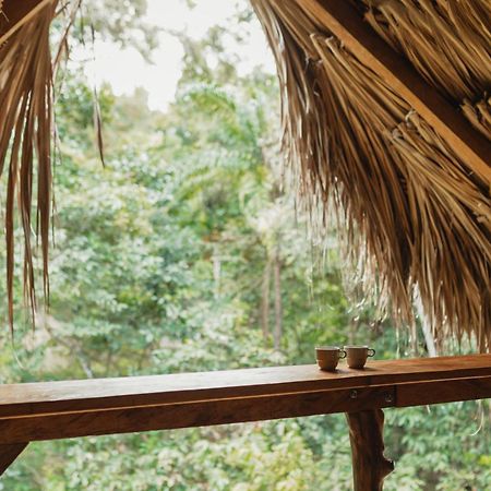 La Ponderosa Reserve بوريتاكا المظهر الخارجي الصورة