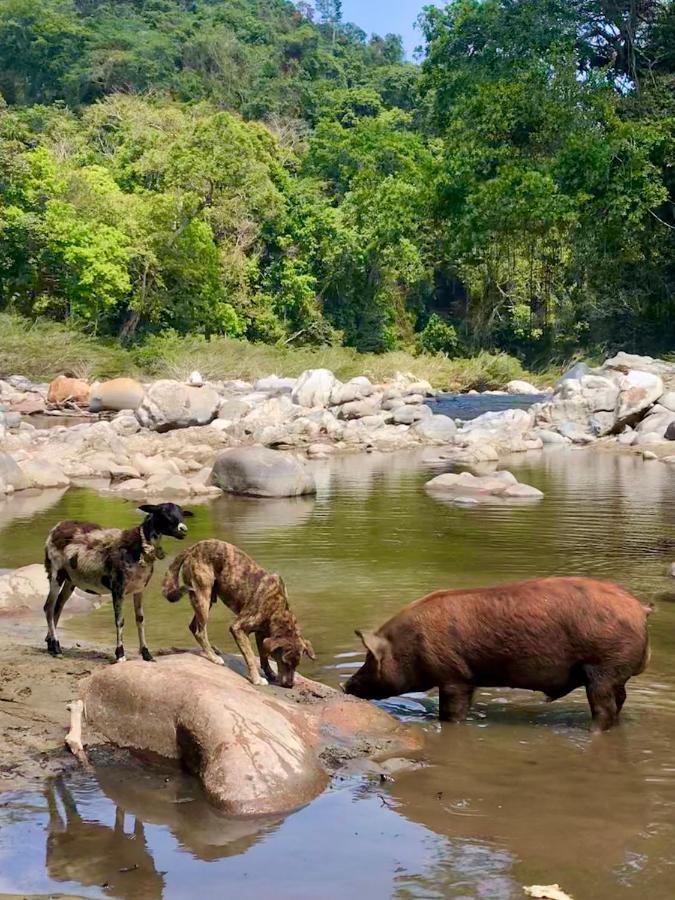 La Ponderosa Reserve بوريتاكا المظهر الخارجي الصورة