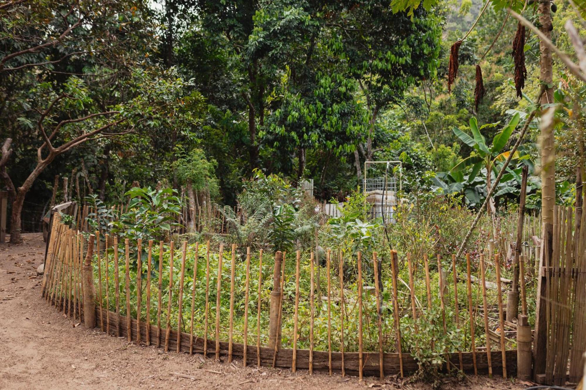 La Ponderosa Reserve بوريتاكا المظهر الخارجي الصورة