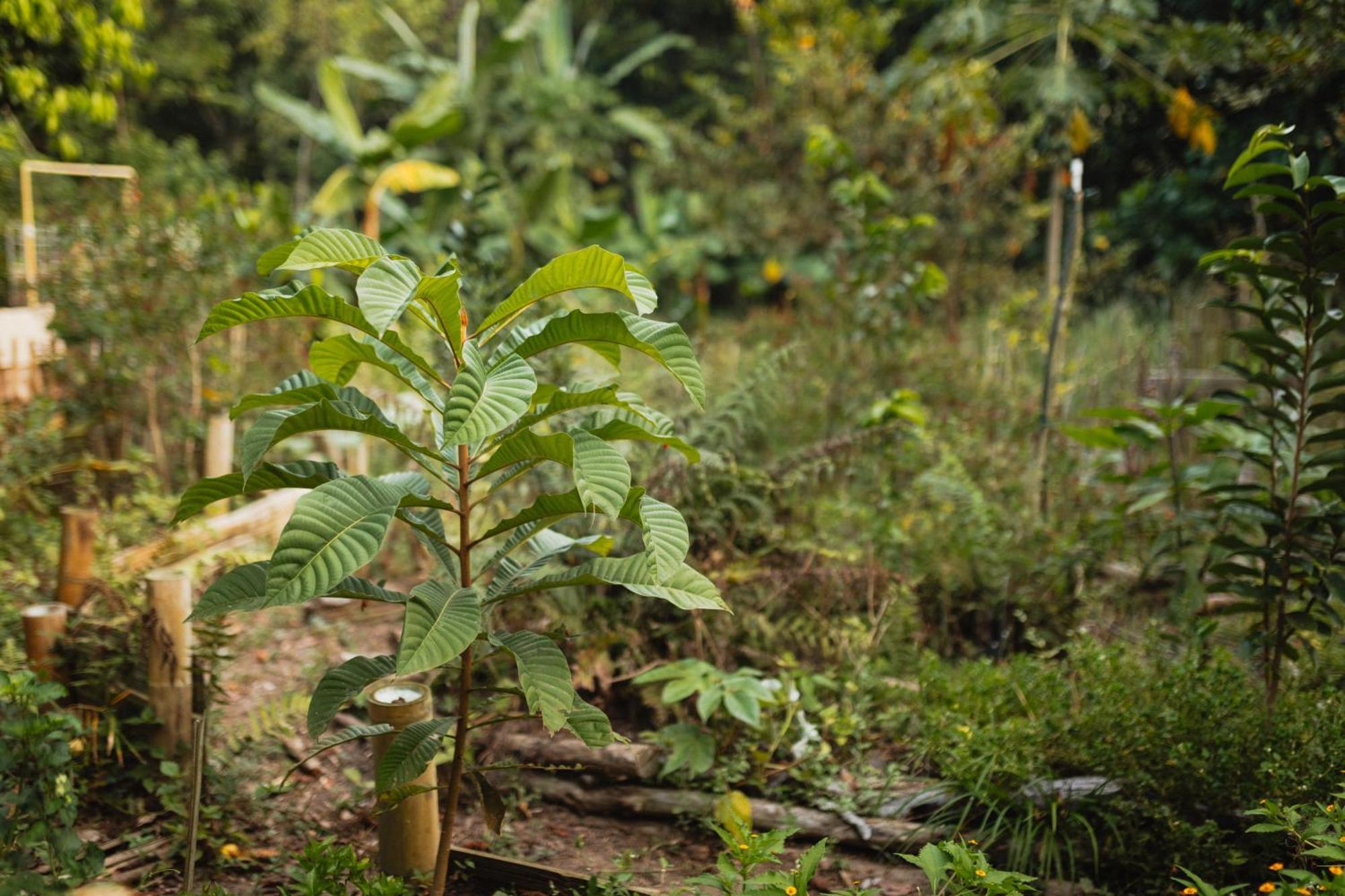 La Ponderosa Reserve بوريتاكا المظهر الخارجي الصورة