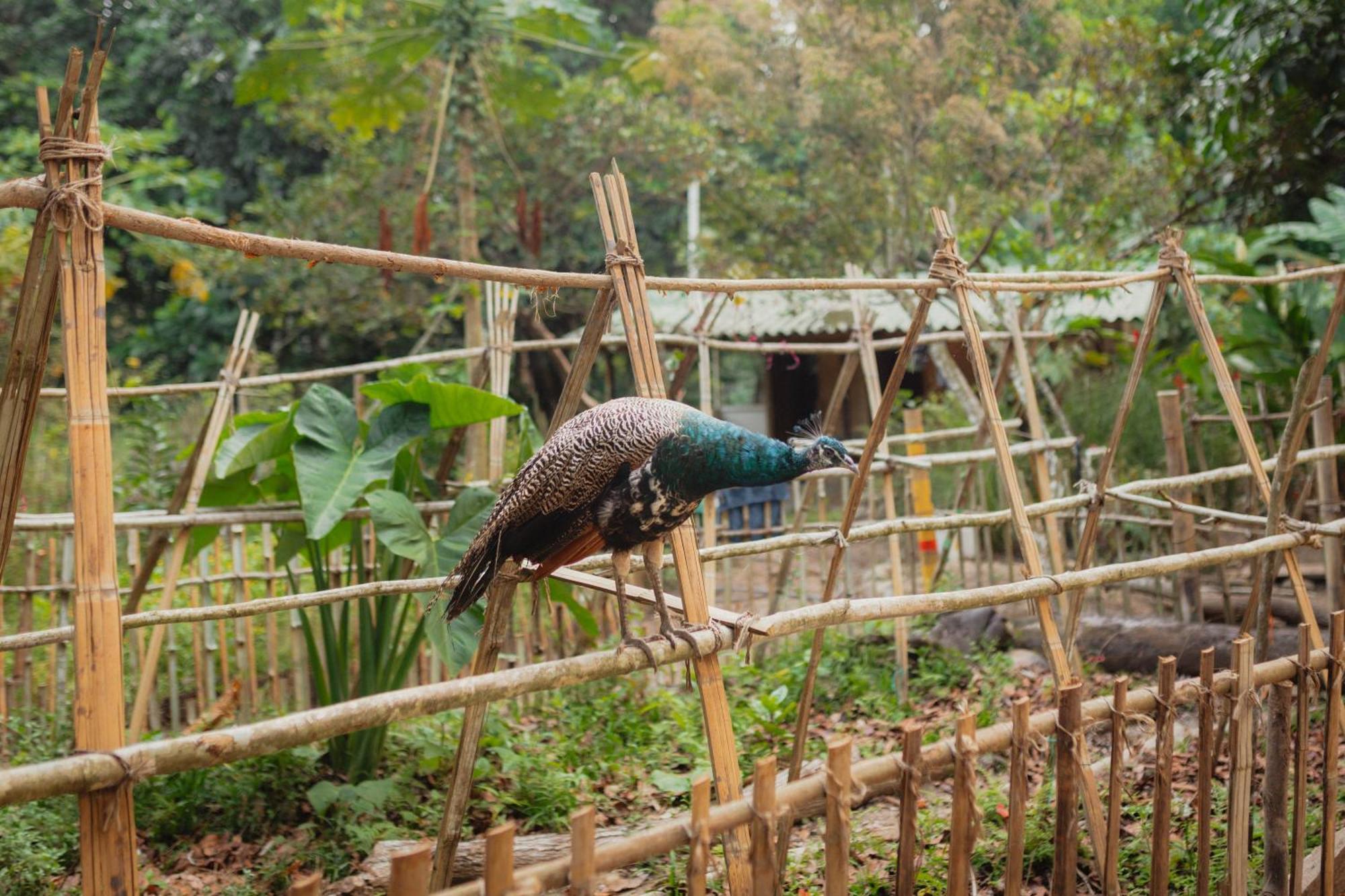 La Ponderosa Reserve بوريتاكا المظهر الخارجي الصورة