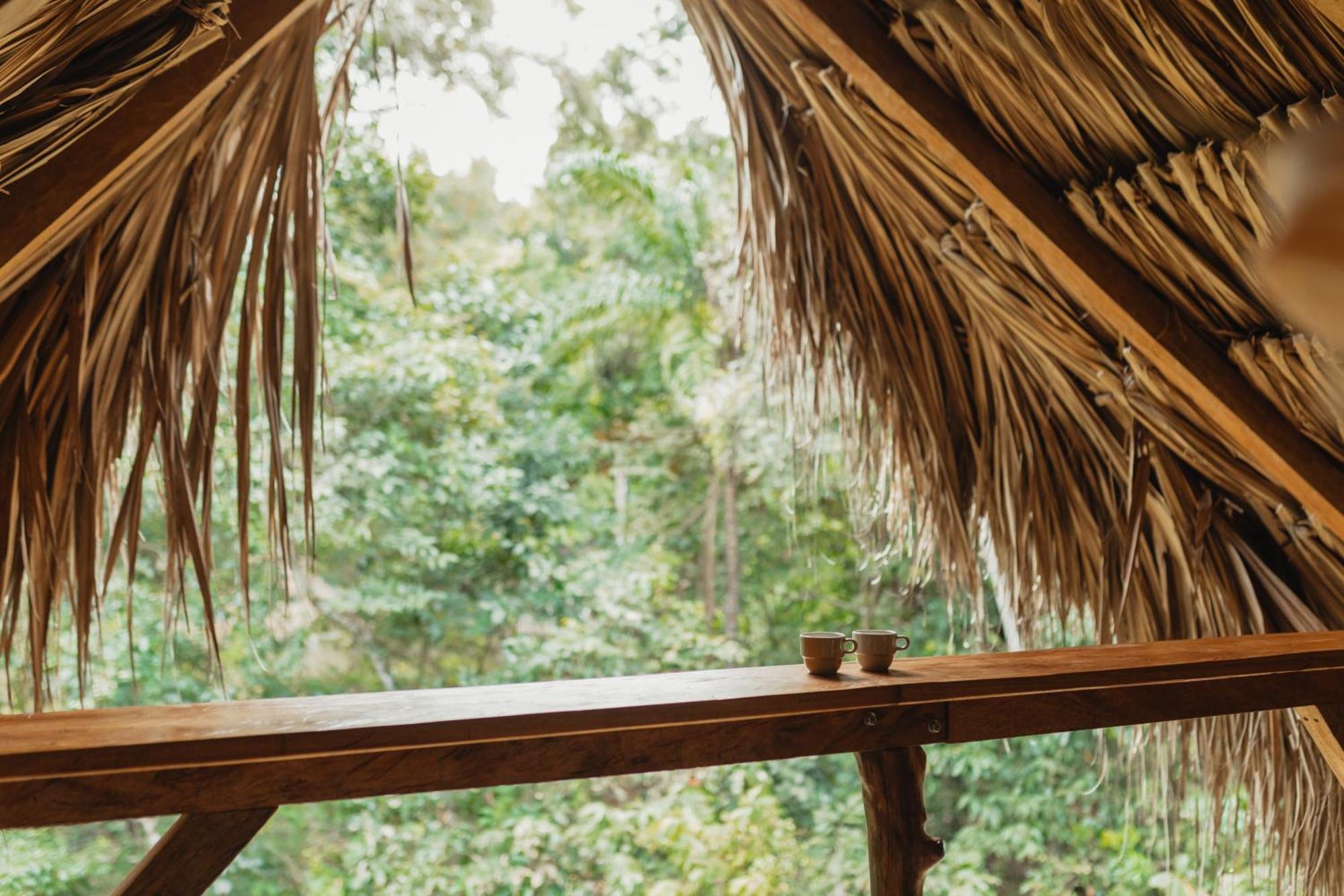 La Ponderosa Reserve بوريتاكا المظهر الخارجي الصورة